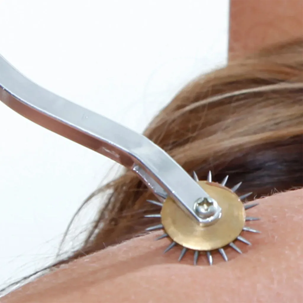 Fetish Fantasy Deluxe Wartenberg Wheel