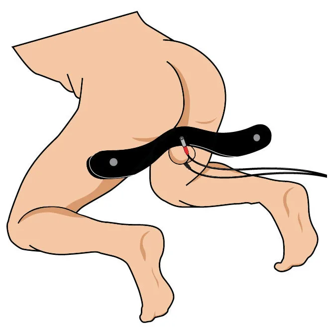 Mistress by Isabella Sinclaire E-Stimulation Locking Humbler